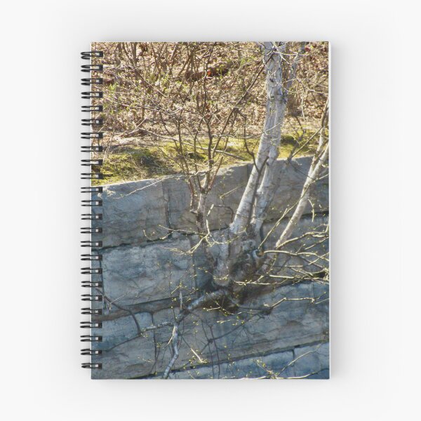 Item preview, Tree in the wall designed and sold by Shulie1.