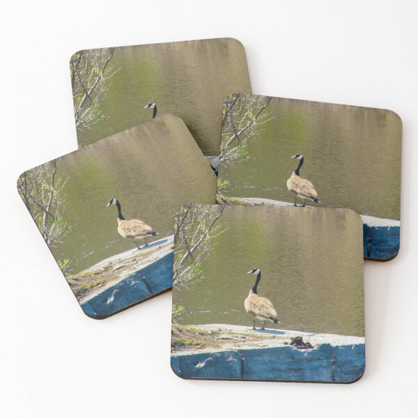 Item preview, Goose on a wall designed and sold by Shulie1.