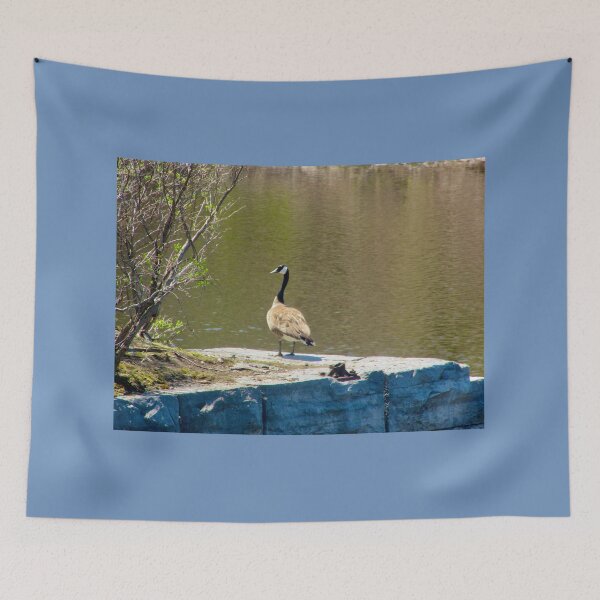 Item preview, Goose on a wall designed and sold by Shulie1.
