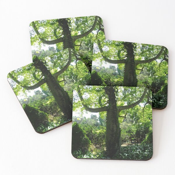 Item preview, Treebeard Lives in Malta.  Ents are Real. designed and sold by Marco-Eye-View.