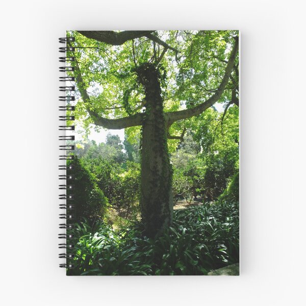 Item preview, Treebeard Lives in Malta.  Ents are Real. designed and sold by Marco-Eye-View.