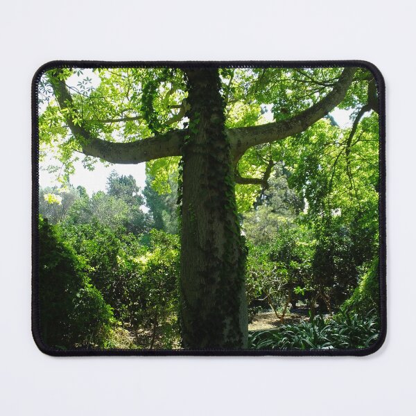 Item preview, Treebeard Lives in Malta.  Ents are Real. designed and sold by Marco-Eye-View.