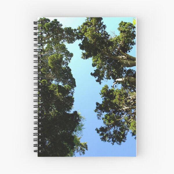 Item preview, St Anton Gardens, Malta designed and sold by Marco-Eye-View.
