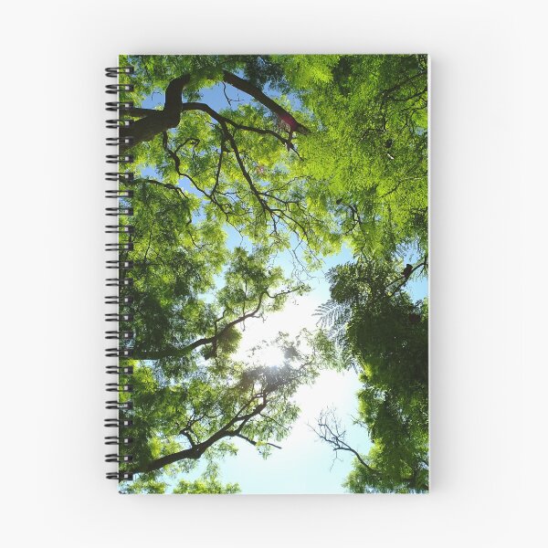 Item preview, St Anton Gardens, Malta designed and sold by Marco-Eye-View.