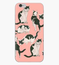 Crazy About Cats iPhone Case
