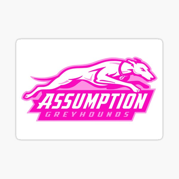 Item preview, Assumption College Pink Logo designed and sold by cs332.
