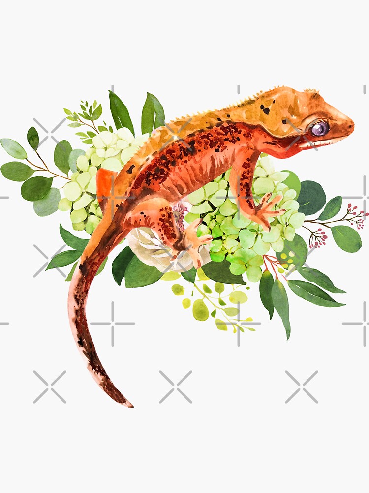 "Watercolor composition orange gecko and hydrangea and roses flower