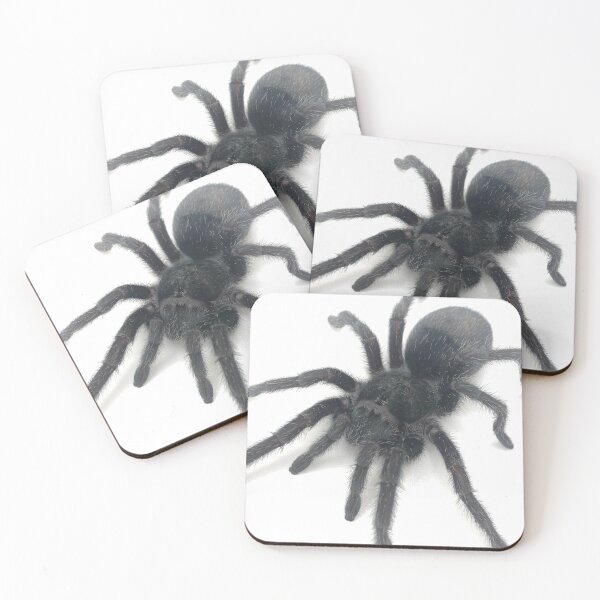 Item preview, Grammostola pulchra Tarantula designed and sold by CyriocosmusE.