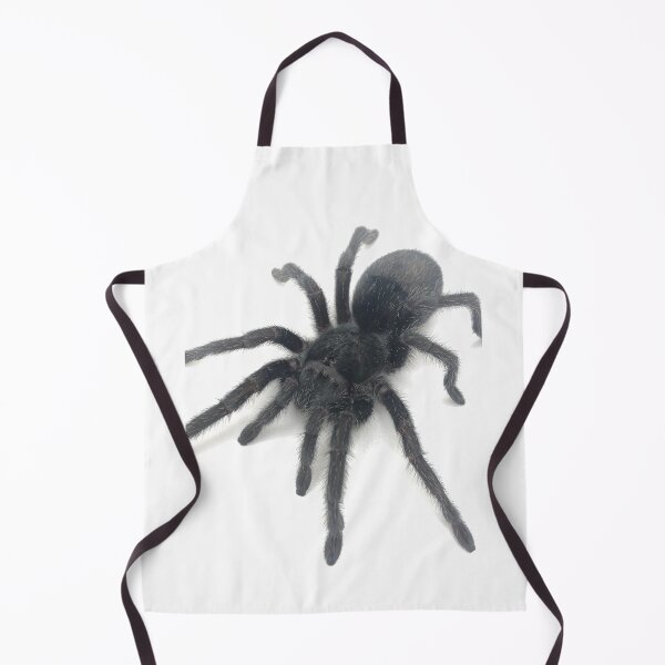 Item preview, Grammostola pulchra Tarantula designed and sold by CyriocosmusE.