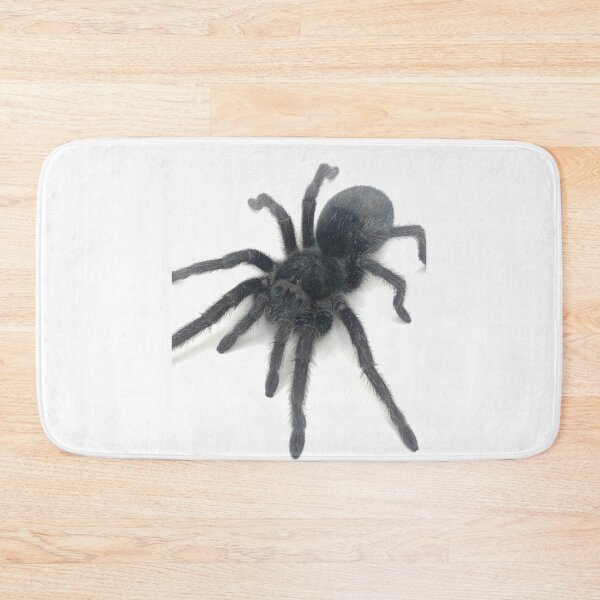 Item preview, Grammostola pulchra Tarantula designed and sold by CyriocosmusE.
