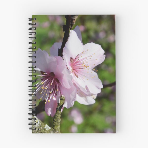 Item preview, Almonds in spring designed and sold by GOSIA GRZYBEK.