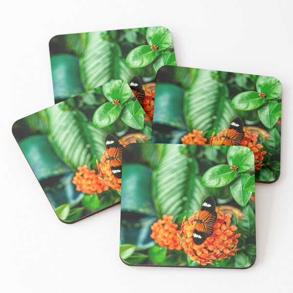 Item preview, Mexican Longwing Butterfly At Rest designed and sold by Kay Brewer.