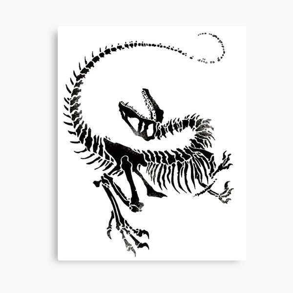Velociraptor Skeleton Print Canvas Print
