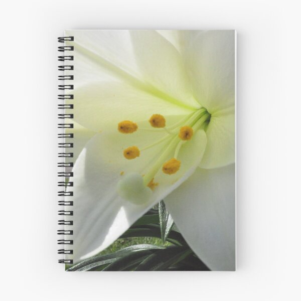 Item preview, Easter Lily designed and sold by steampunklizard.