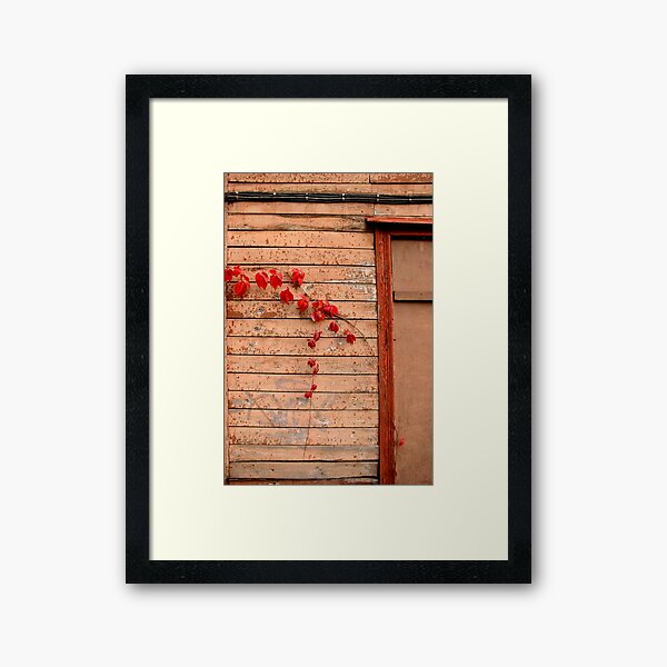 Red loves red Framed Art Print