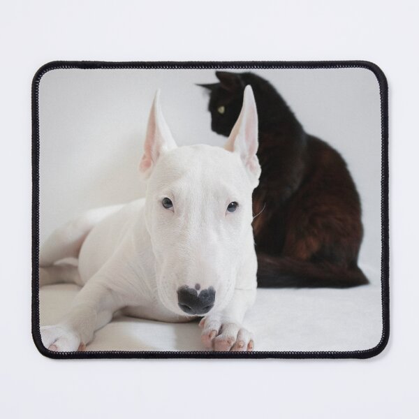 Item preview, Bullterrier and a Black Cat designed and sold by crewmember.