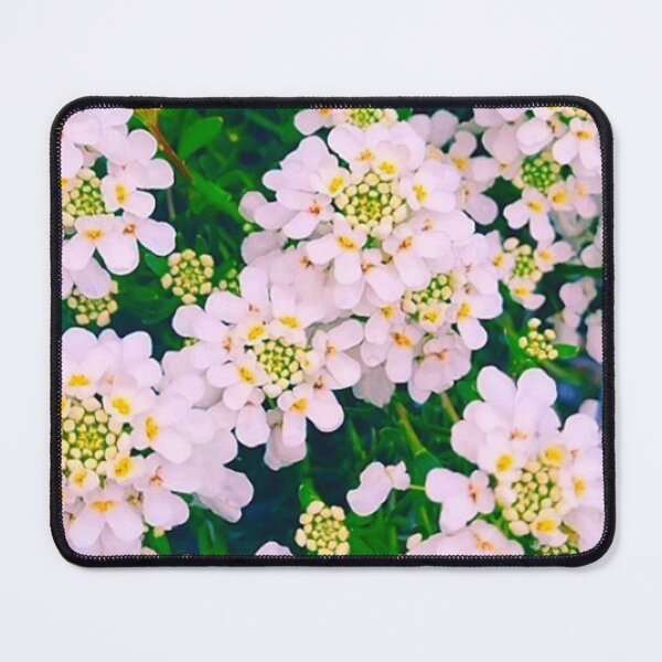 Item preview, White petals designed and sold by Wavytarot.