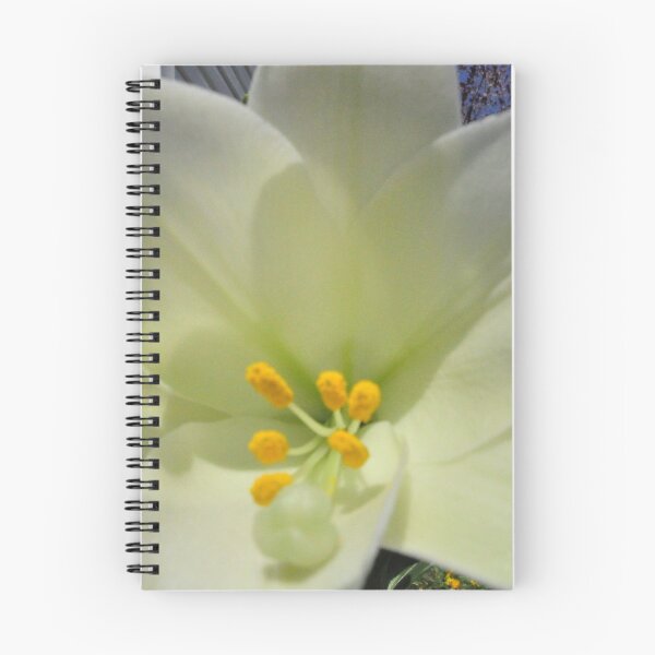 Item preview, Easter Lily designed and sold by steampunklizard.