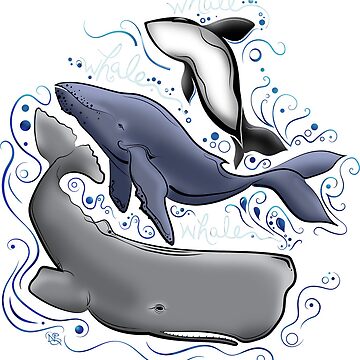 Artwork thumbnail, Whale, Whale, whale... color illustration | Oh whale | Orca killer whale | Blue whale | Sperm whale | Sea drawing by NSoulliardArt