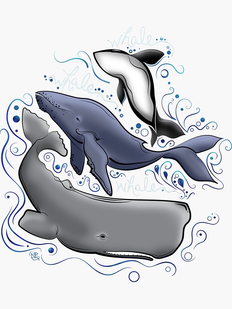 Whale, Whale, whale...  color illustration | Oh whale | Orca killer whale | Blue whale | Sperm whale | Sea drawing by NSoulliardArt