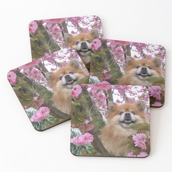Item preview, Cuddles Cherry Blossoms designed and sold by Crystellia.