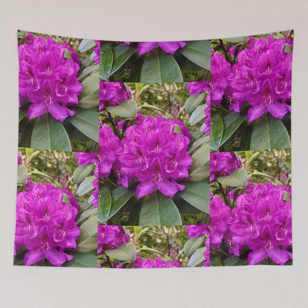Artikelvorschau, Rosa Rhododendron im Highbury Park entworfen und verkauft von NesheYx.