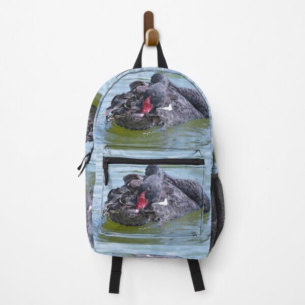 Item preview, Black Swan bird resting designed and sold by Zina Stromberg.