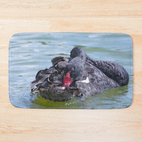 Item preview, Black Swan bird resting designed and sold by Zina Stromberg.