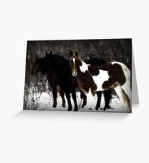 Christmas Eve Horses Greeting Card