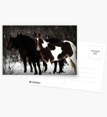 Christmas Eve Horses Postcards