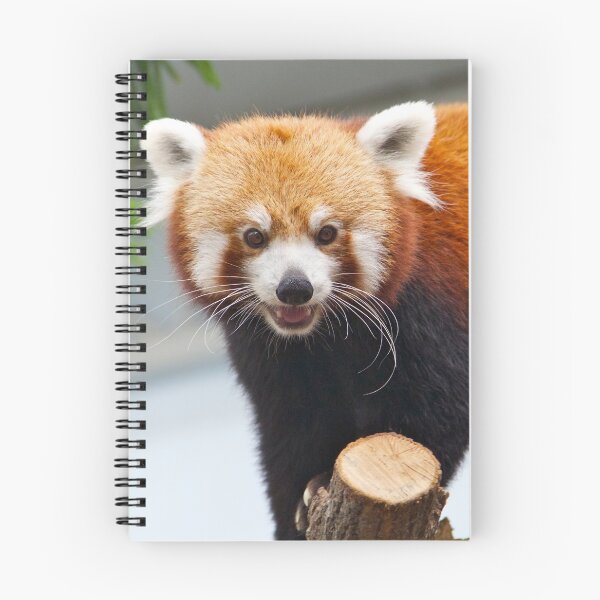 Item preview, Smiling Red Panda designed and sold by csenior.