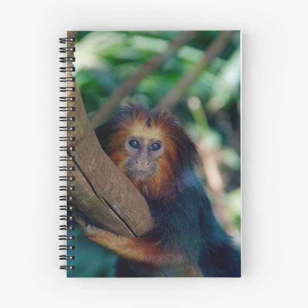 Item preview, Lion Maned Tamarin designed and sold by csenior.