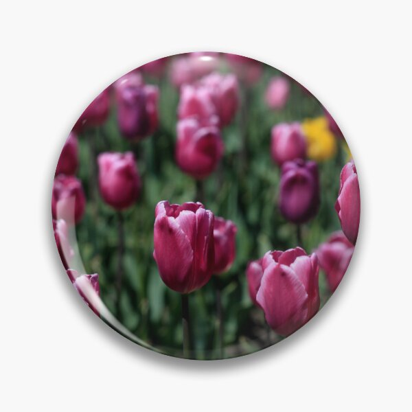 Item preview, Purple tulips on flower bed designed and sold by olena2552.