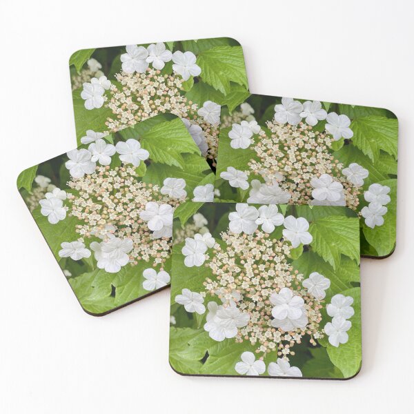 Item preview, White Hydrangea at Woodberry Down designed and sold by NesheYx.
