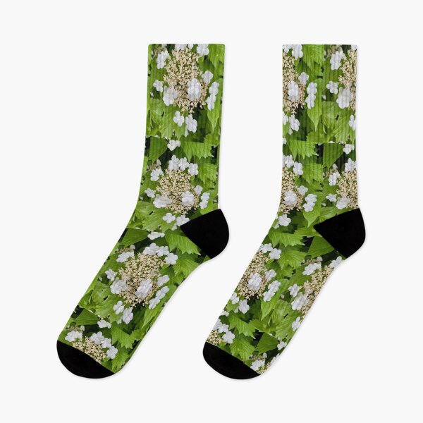 Item preview, White Hydrangea at Woodberry Down designed and sold by NesheYx.