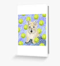 Miss Caroline the Cairn Terrier is Obsessed About Fetching Tennis Balls Greeting Card