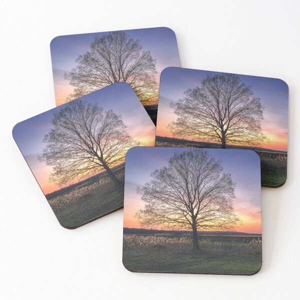 Item preview, Lonely bare tree in the field at sunset designed and sold by Dejan Travica.
