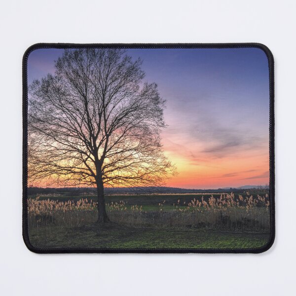Item preview, Lonely bare tree in the field at sunset designed and sold by Dejan Travica.