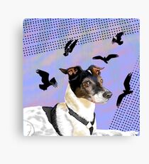 Jack Dreams of Osprey Canvas Print
