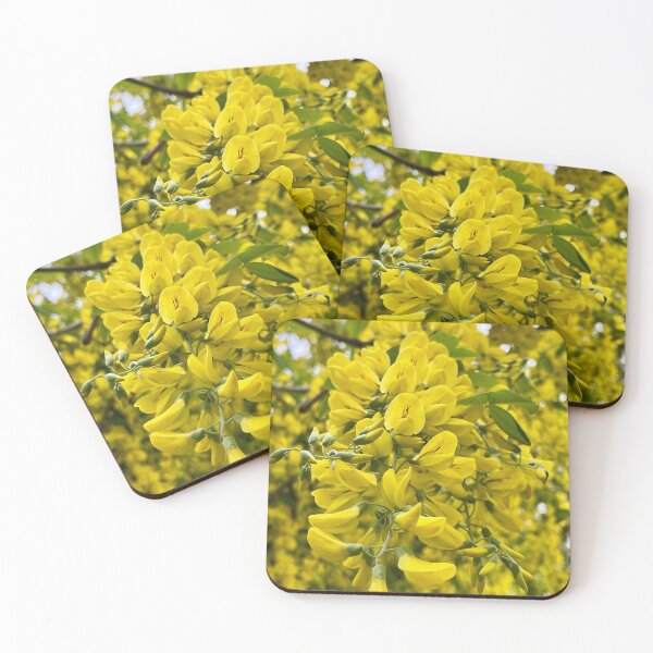 Item preview, Golden Rain Tree at Clissold Park designed and sold by NesheYx.
