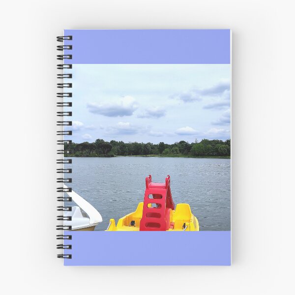 Aperçu de l'œuvre Pedalos au lac St Jean pla de corts. créée et vendue par elGatCendrer.