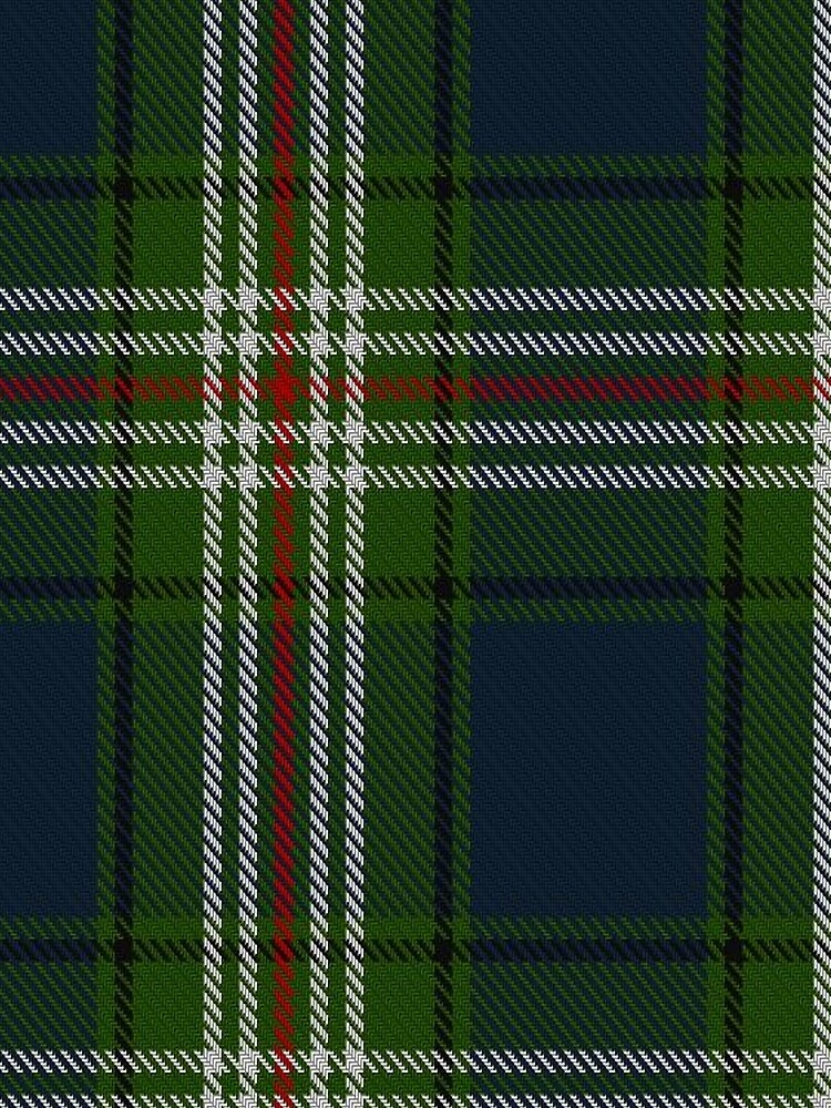 Todd Clan/Family Tartan by Detnecs2013