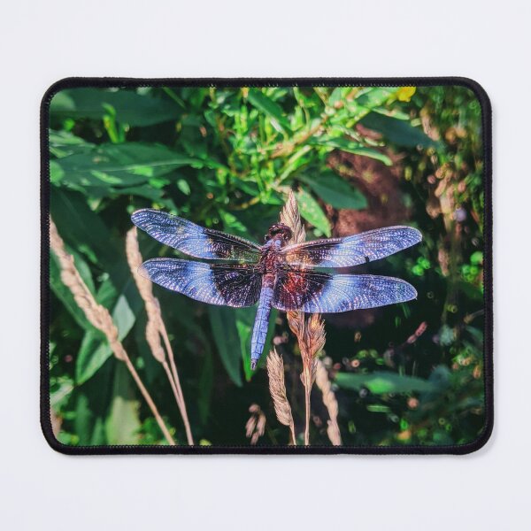 Item preview, Wild Blue Dragonfly designed and sold by 9Amaryllis6.
