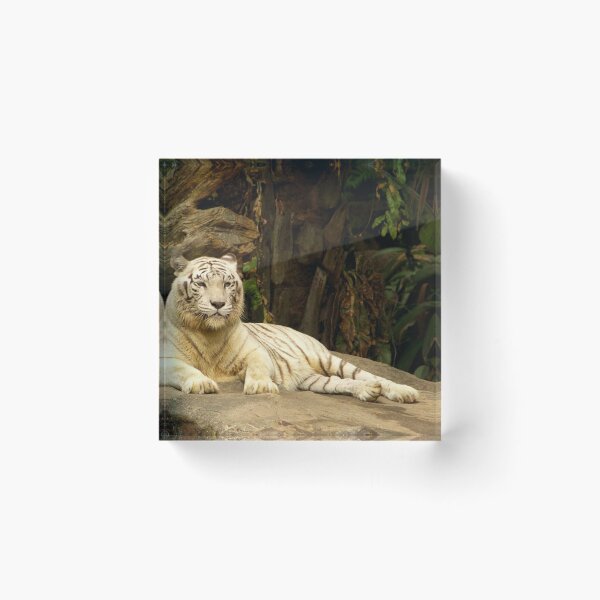 Item preview, Lounging Tiger designed and sold by csenior.