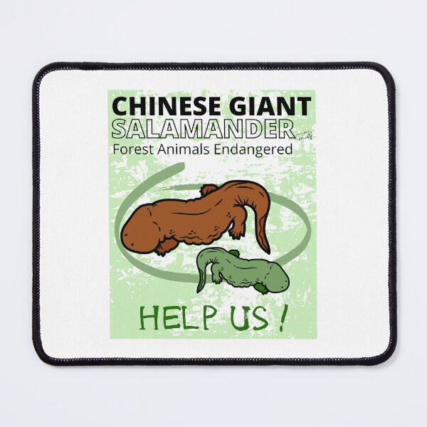 Item preview, Chinese Giant Salamander  designed and sold by yassooarts.