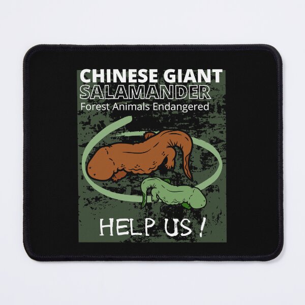 Item preview,  Chinese Giant Salamander  designed and sold by yassooarts.