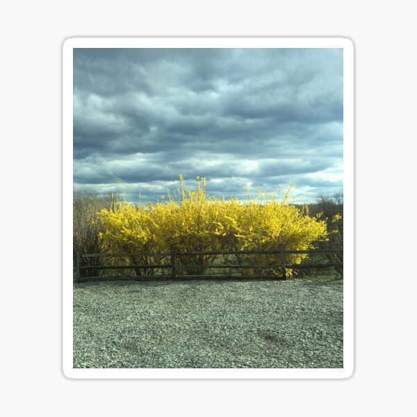 Yellow & Sky (Cropped) Sticker