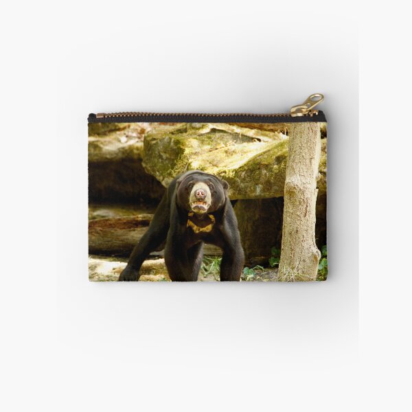 Item preview, Sniffing Sunbear designed and sold by csenior.