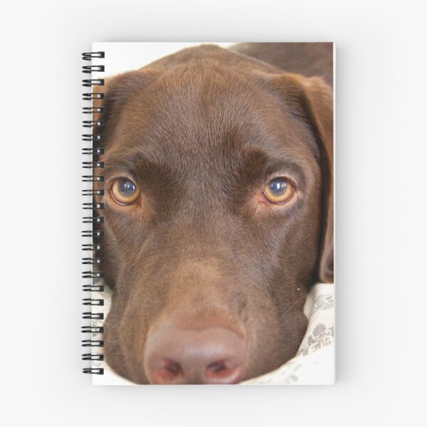 Item preview, Loving Lab designed and sold by csenior.