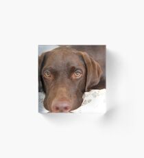 Loving Lab Acrylic Block